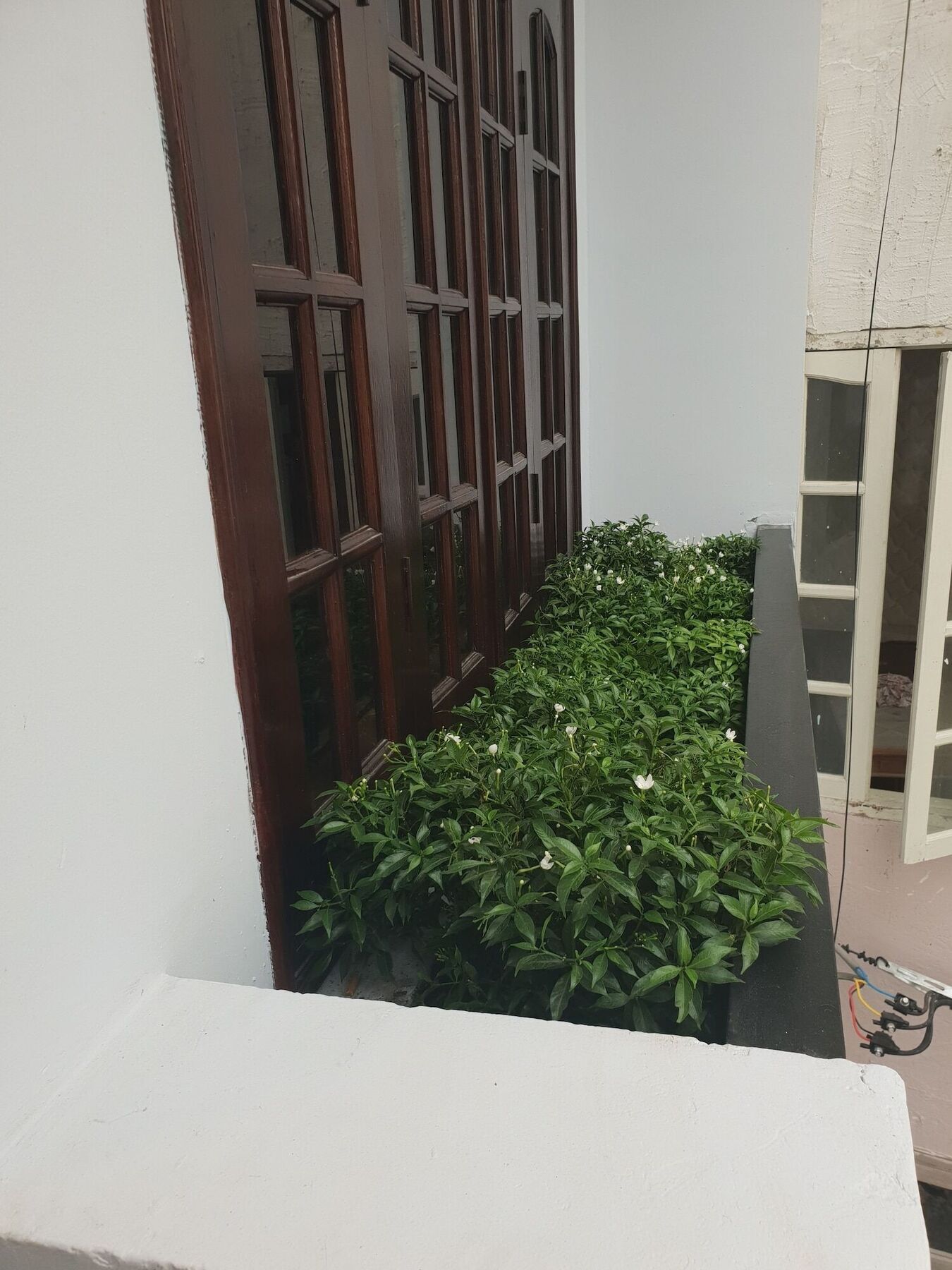 Thai Anh House - The Airport Πόλη Χο Τσι Μινχ Εξωτερικό φωτογραφία